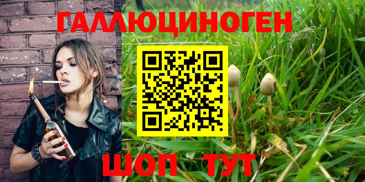 Псилоцибиновые грибы Psilocybe Железногорск